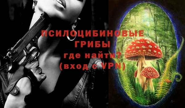 гашик Сафоново