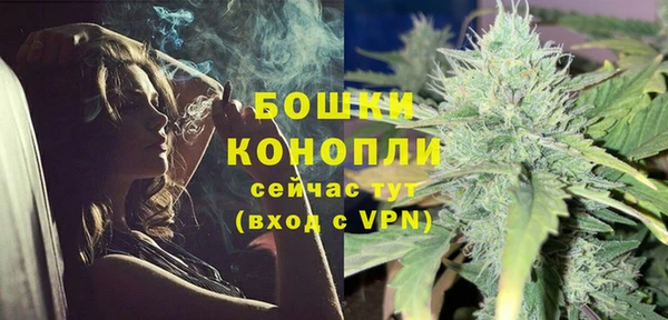 дживик Ессентукская