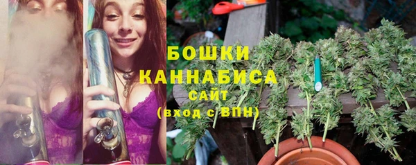 ПСИЛОЦИБИНОВЫЕ ГРИБЫ Ижевск