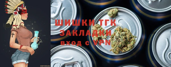 дживик Ессентукская
