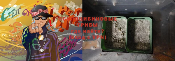 ешки Саяногорск