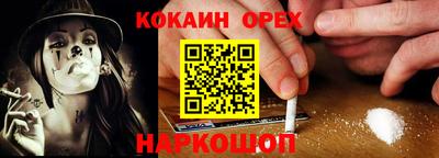 стафф Гатчина