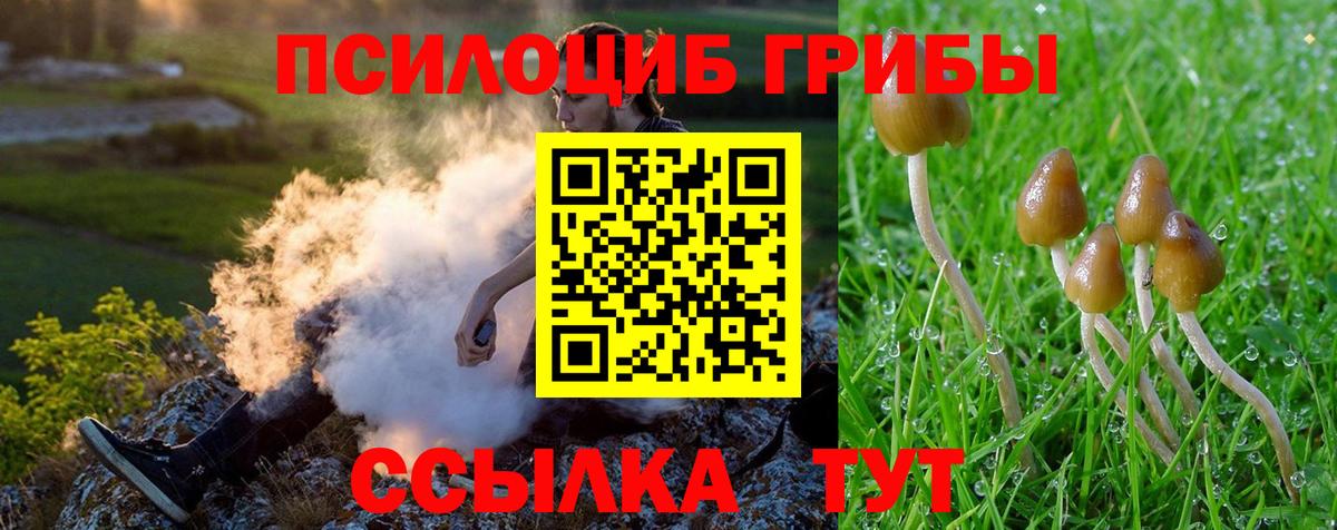 Псилоцибиновые грибы мухоморы Егорьевск