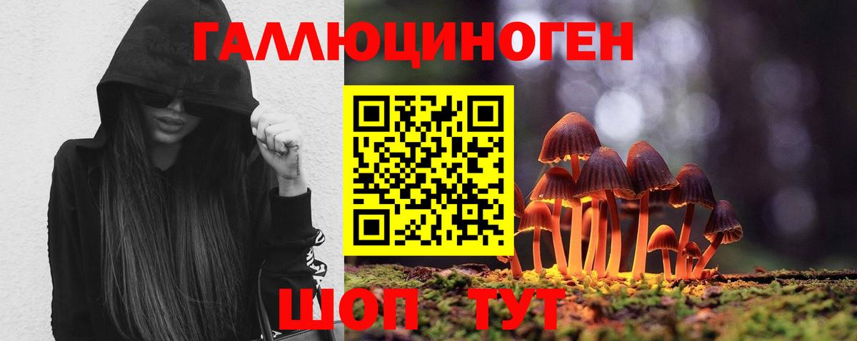 Галлюциногенные грибы мухоморы  Вход с VPN  Егорьевск  Галлюциногенные грибы GOLDEN TEACHER 